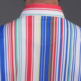 Luxe Vertical Stripes Multicolor Polo